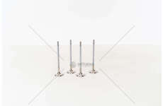 Outlet valve Corsa 1.8 16V A E18XE EX 27,4X Mec-Diesel