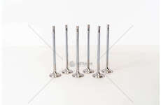 Outlet valve D 0834/0836LOH E3/E4 EX Mec-Diesel