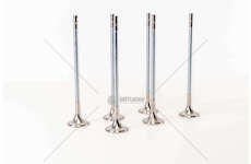 Outlet valve D 12 C/D - FH12 EURO 3 - 4V. EX 1 GROOVE Mec-Diesel