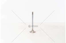 Outlet valve D 2876 LF07/11/21/22 - 1 GOLA/24 VALV/EX46 X Mec-Diesel