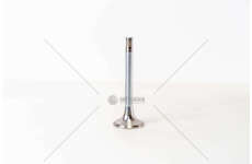 Outlet valve D 2876 LUH01>03/D 2842 LE201 - 4 GOLE EX Mec-Diesel