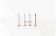 Outlet valve D24 TRANSPORTER 1.6/2.4 EX Mec-Diesel