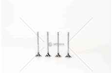 Outlet valve D5244T - C30/S60/S80/V70/XC70 2.4D EX Mec-Diesel