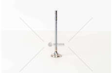 Outlet valve D7E240/280/320 - FE/FL II EX Mec-Diesel