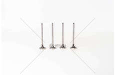 Outlet valve D7F 700/710/720 - CLIO/KANGOO 1.2 EX Mec-Diesel