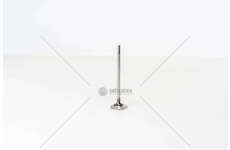 Outlet valve F1CE0441A/CNG -DAILY/DUCATO 3.0 GASEX Iveco