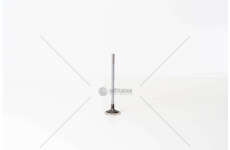 Outlet valve F1CGL411C - DAILY 3.0 E6 BI-TURBO EX Iveco