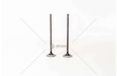 Outlet valve F2BE0642 - CURSOR 8 - STRALIS EX Mec-Diesel