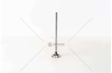 Outlet valve F2CFE601/611 - STRALIS EURO 6 EX Mec-Diesel