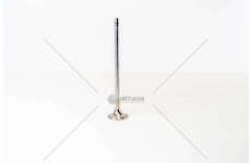 Outlet valve F3GFE611 - CURSOR 11 - STRALIS EX Mec-Diesel