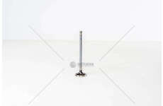 Outlet valve F4AE0481/F4AE0681 - TECTOR EX Iveco