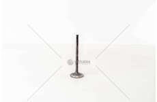 Outlet valve F4BE0641/N60 - NEF 6 CNG - EX Mec-Diesel