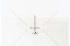 Outlet valve FOCUS/C-MAX/FIESTA - DURATORQ 1.8TDCI EX Mec-Diesel
