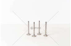 Outlet valve GOLF 1.9 TDI - LT/TRANSPORTER 2.5 TDI EX31.5 Mec-Diesel