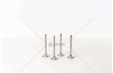 Outlet valve GOLF/POLO 1.9 TDI - STELO 7 - EX SKODA Mec-Diesel