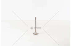 Outlet valve GOLF/VARIANT/VENTO 1.9 TDI EX Mec-Diesel