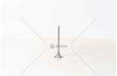 Outlet valve KANGOO/MEGANE F9Q - 1.9 DTI/TD CI EX Mec-Diesel