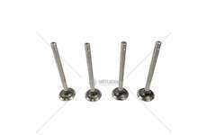 Outlet valve LADA NIVA 1.600 EX Mec-Diesel