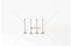 Outlet valve M1CA/P4JA/SFCA - FOCUS/FIESTA 1.0 EX Mec-Diesel