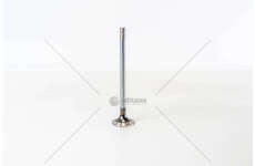 Outlet valve MX-13 303/340/375 - CF/XF EURO 5/6 EX Mec-Diesel