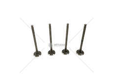 Outlet valve MX3 1.6i 16V MX EX Mec-Diesel