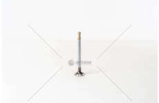 Outlet valve N.500R/126 110D.000 EX Mec-Diesel