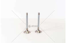 Outlet valve OM 421/422/423 - COLL. 2 - EX Mec-Diesel