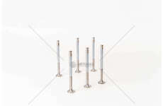 Outlet valve OM 904/906/924/926-ATEGO/AXOR/VARIOEX Mec-Diesel