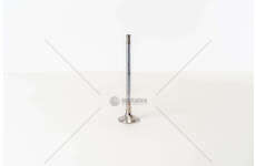 Outlet valve OM 904/906/924/926LA - L.152,6 GAS EX Mec-Diesel