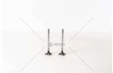 Outlet valve PEUGEOT 205/405 1.9TD EX Mec-Diesel