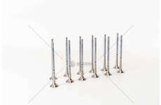 Outlet valve PUNTO 1250/1300MJTD EURO 5 EX Mec-Diesel