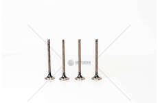 Outlet valve QUBO/FIORINO 1.4 - 8 V. GAS EX Mec-Diesel