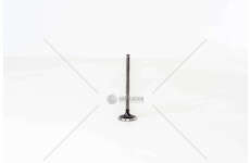 Outlet valve Rav 4 2.0 16V E 1AZFE Mec-Diesel