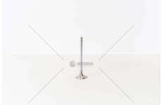 Outlet valve THY/T8A/T9A/DJ5T - JUMPER/BOXER/XM EX Mec-Diesel