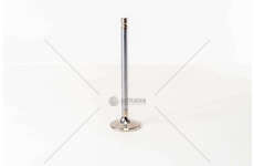 Outlet valve WS 242/268/295/WS 315 G/L/M D.130 EX Mec-Diesel