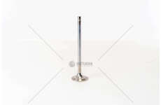 Outlet valve XF 250/280/315/355M 4V E2 30° D.130 EX Mec-Diesel