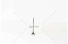 Outlet valve YMF6/YMR6 - TRANSIT 2.0 PANTHER EX Mec-Diesel