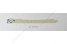 PASEK PLANDEKI ZE SPRZACZKA L-250MM  40.250.20