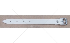 PASEK PLANDEKI ZE SPRZACZKA L-250MM  40.250