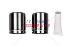 Pestík brzdového třmenu iveco daily 00> přední 65c11/13/15 set-2szt ft32284