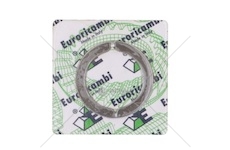 PIERSCIEN DZIELONY SKRZ.BIEG.ZF Z OSLONA EURORICA 95531382