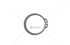 PIERSCIEN SEGERA 29Z  29Z