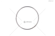 PIERSCIEN USZCZ.FILTRA DPF   E6 DINEX DIN2KL031