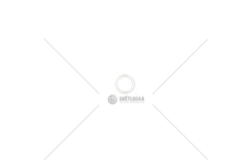 PIERSCIEN USZCZ.ZF 16X22 EURORICA 95531963