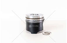 Piston 8060.24 TESTA PIANA VASCH.51 D.103 Mec-Diesel