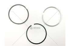 Piston Ring Kit F4AE0681/3481/3681 - TECTOR Ø 102MM Kolbenschmidt
