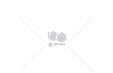 PLASTIKOWY LACZNIK POTENCJ.POKR.ZACISKU MTX MTX-5274