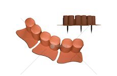 Plastový obrubník - palisáda 3,02m, 100mm PALISADE (Barva: Hnědá)