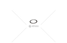 Podložka dist. 0.8mm (ŽTR165) E09220197