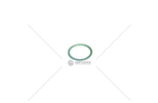 Podložka dist. 1.0mm (ŽTR165) E09220198